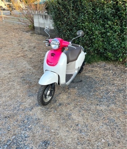 61. ホンダ ジョルノ AF70 原付 バイク 50cc 車体 - 鴻巣市