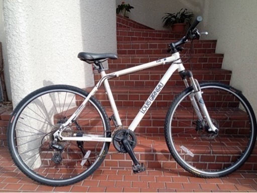 【クロスバイク】LOUIS GARNEAU TRX Ⅲ サイズ　520mm 3×8段変速 フロントサスペンション ディスクブレーキ　若林自転車　浜大津SALE❗️