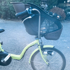 ①アラビアクロッカスグレーリムプレート24.5cm】