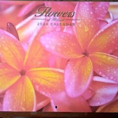 【ネット決済・配送可】2022年ハワイのカレンダー