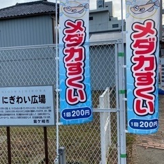 網でメダカすくい！本日７日午前１０時から午後２時まで！