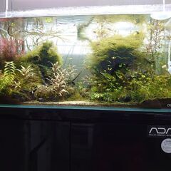 ADA90センチ水槽セット