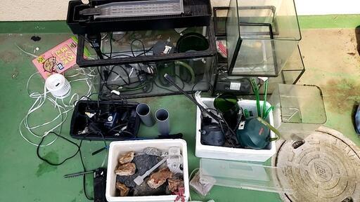 ✨水槽✨熱帯魚やメダカ、爬虫類等に✨