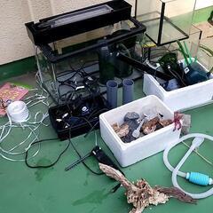 ✨水槽✨熱帯魚やメダカ、爬虫類等に✨