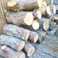 伐採した庭木 薪に