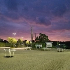 愛知県🐴競馬グループ！