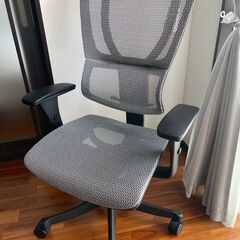 【美品】Ergohuman smart（エルゴヒューマン スマート）/ アームレスト付 / ホワイト