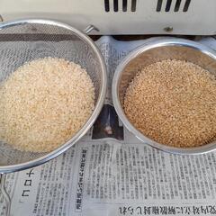 購入予定者決まりました！精米機 籾～玄米～白米に！オータケ精米機
