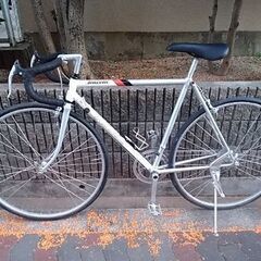 🚴ブリヂストン レイダック