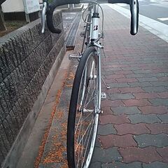 🚴ブリヂストン レイダック