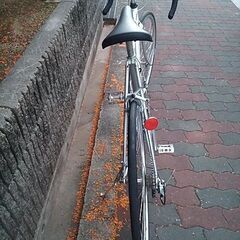 🚴ブリヂストン レイダック