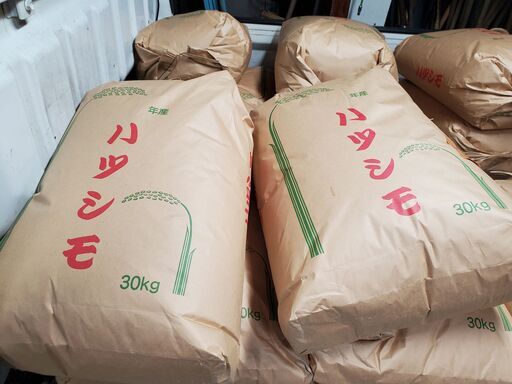 残りわずか♪ 岐阜県ブランド♪ハツシモ 玄米30kg 令和3年度産 岐阜 残りわずか♪ 岐阜県ブランド♪ハツシモ 玄米30kg 令和3年度産 岐阜