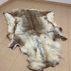 トナカイ　毛皮　フィンランド産　※10%割引中 ネット決済可』 フィンランドトナカイの毛皮 2点SET
