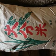 【令和3年 新米】ヒノヒカリ  玄米30㎏
