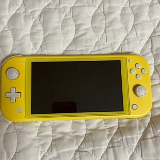 その他 Nintendo Switch lite