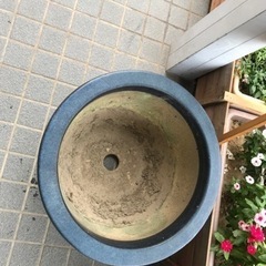 0円　植木鉢　直径57cm
