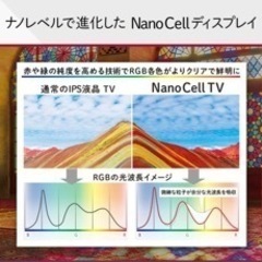 LG 75型 NanoCell 75NANO91JNA テレビ台サービス