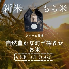 【ネット決済・配送可】新米❗️もち米1升(1.4kg)