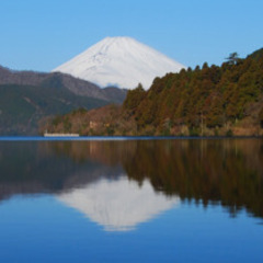 箱根、熱海、伊豆空き家情報、謝礼　5万円