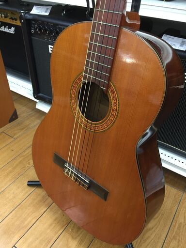 カテゴリ：楽器・機材｜キーワード：ギター】商品一覧｜中古