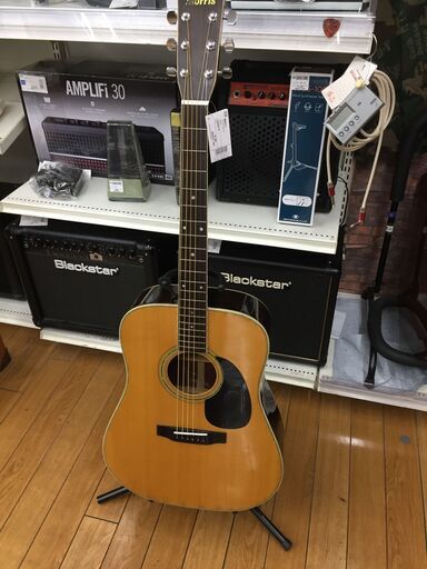トレファク鶴ヶ島店】MORRIS アコースティックギター W-25