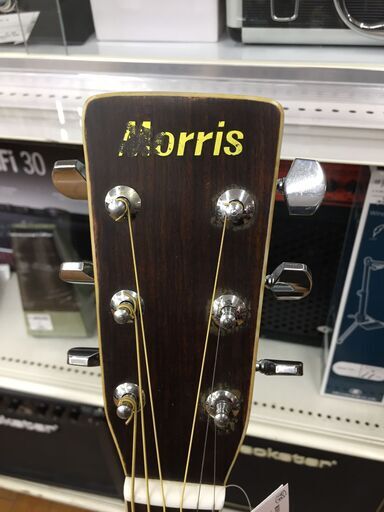 トレファク鶴ヶ島店】MORRIS アコースティックギター W-25 | www