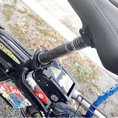 もぺっと フルアシスト 電動自転車
