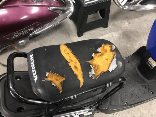 ホンダ ズーマーFl 実働車両