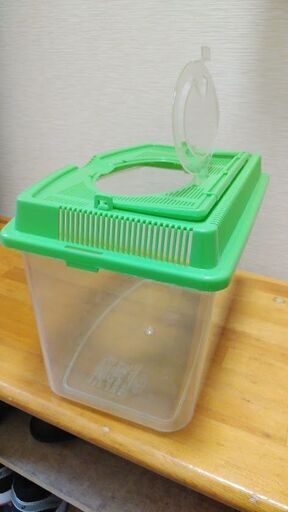 飼育ケース水槽虫かごダイソー大500円の品持ち運び可プラスティック まごめゆたか 荏原町のおもちゃ その他 の中古あげます 譲ります ジモティーで不用品の処分