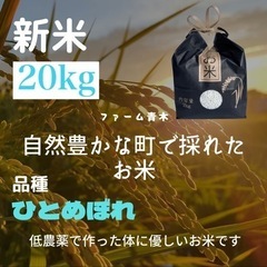 【ネット決済・配送可】新米ひとめぼれ 20kg 玄米