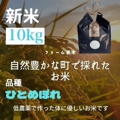 【ネット決済・配送可】新米ひとめぼれ10kg 玄米