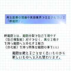 ヒト幹細胞で若々しいお肌に再生されます - 摂津市