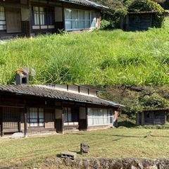 除草して綺麗に