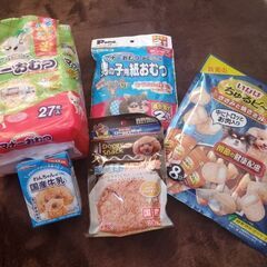 犬用オムツ&お菓子セット