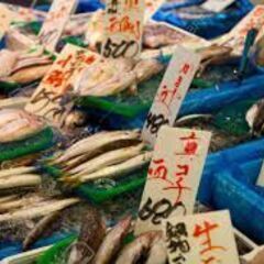 【夜間】【12000円！未経験可！】豊洲の市場で魚の運搬スタッフ...