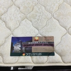 ☆11/10 【✨カリソマティックスペシャル22シリーズ!✨】定価1,100,000円 フランスベッド クイーンベッド✨✨