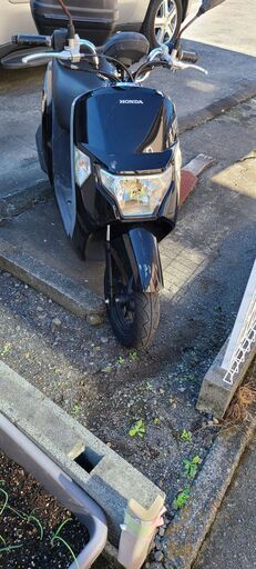 原付　ダンク　中古