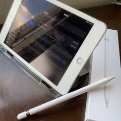 【ネット決済・配送可】iPad mini5 64G (保証期間2...