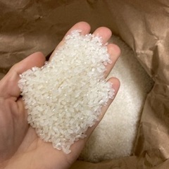 令和6年 新米 玄米 30キロ あきたこまち 10000円 
