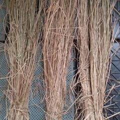 ③長い稲藁❗️家庭用の超ブランド米の藁です❗️