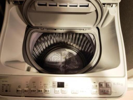 2019年製シャープ洗濯乾燥機 | cmmulungu.pb.gov.br