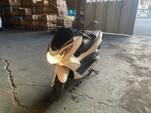 人気のpcx 白