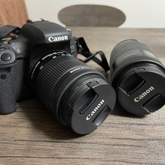綺麗！一眼レフ　Canon EOS 8000Dダブルズームキット