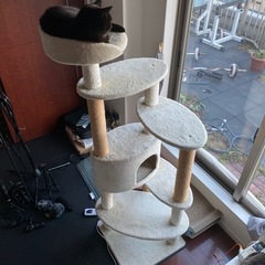 キャッチタワー　猫　玩具　ふわふわ猫ベット