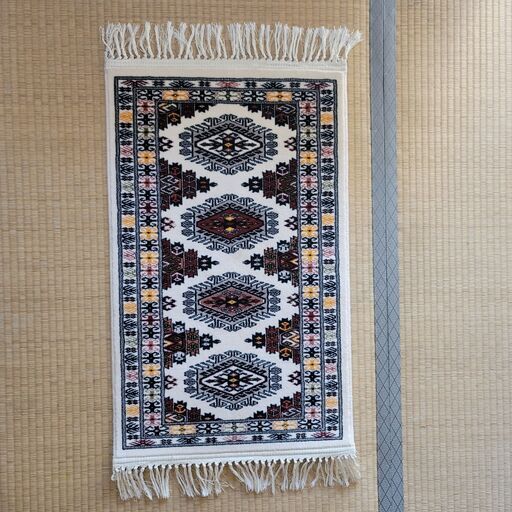 ペルシャ絨毯 ウール イラン製 50×82 cm (数量限定) (約 1.5 キログラム)/....