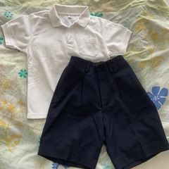 ポロシャツと半ズボンのセット　日本製の紺パンツ