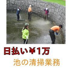 【日払い】激軽作業￥10,000/公園内の池の水抜きと清掃のみ！