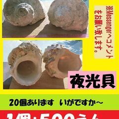 南の島 ガーデニング 観葉植物インテリア　1個400円【残り物10個】