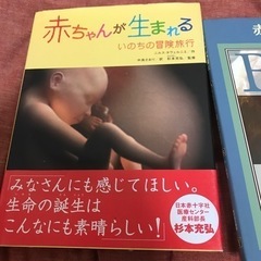 赤ちゃんの誕生に関する書籍　