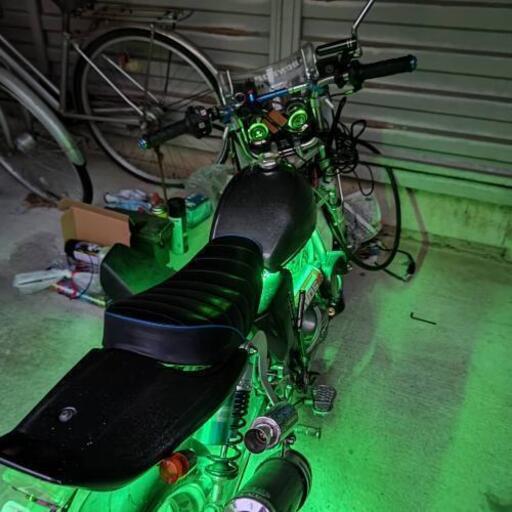 早いもの勝ち　HONDA　モンキー